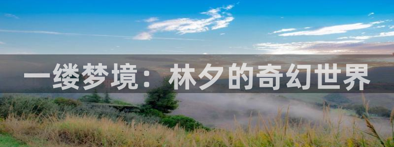 在线91漫画