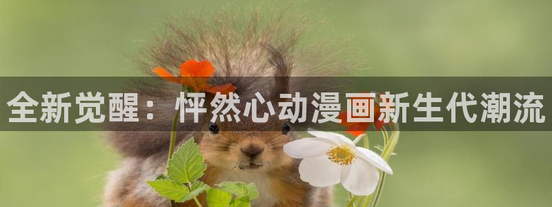 91漫画观看